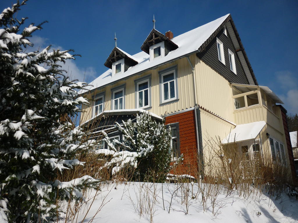 Pension Haus Martha Бад-Грунд Экстерьер фото