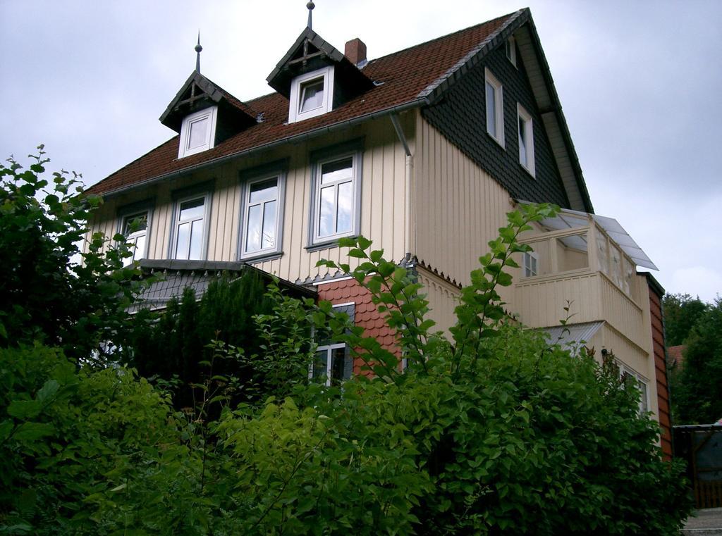 Pension Haus Martha Бад-Грунд Экстерьер фото