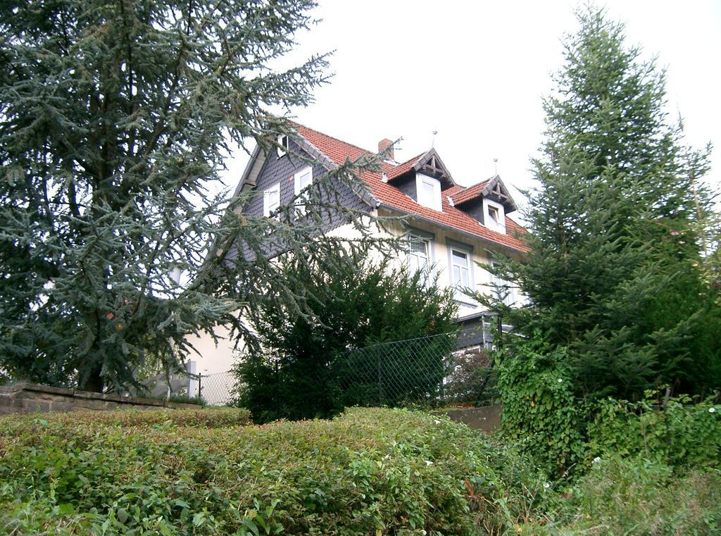 Pension Haus Martha Бад-Грунд Экстерьер фото